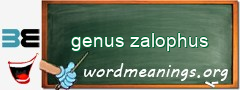 WordMeaning blackboard for genus zalophus